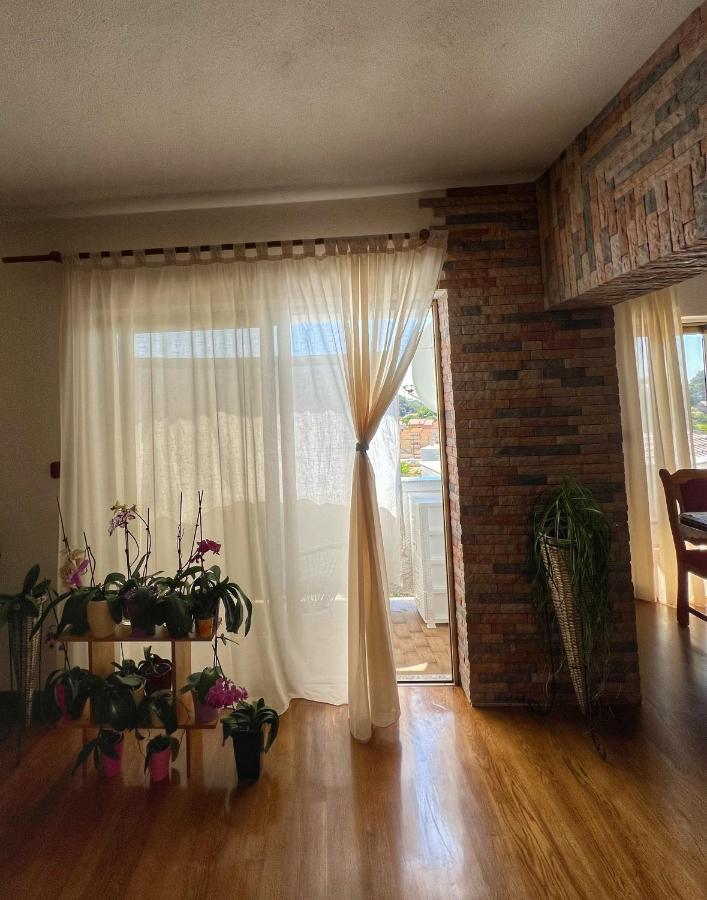 Apartmani Mia Palit Экстерьер фото