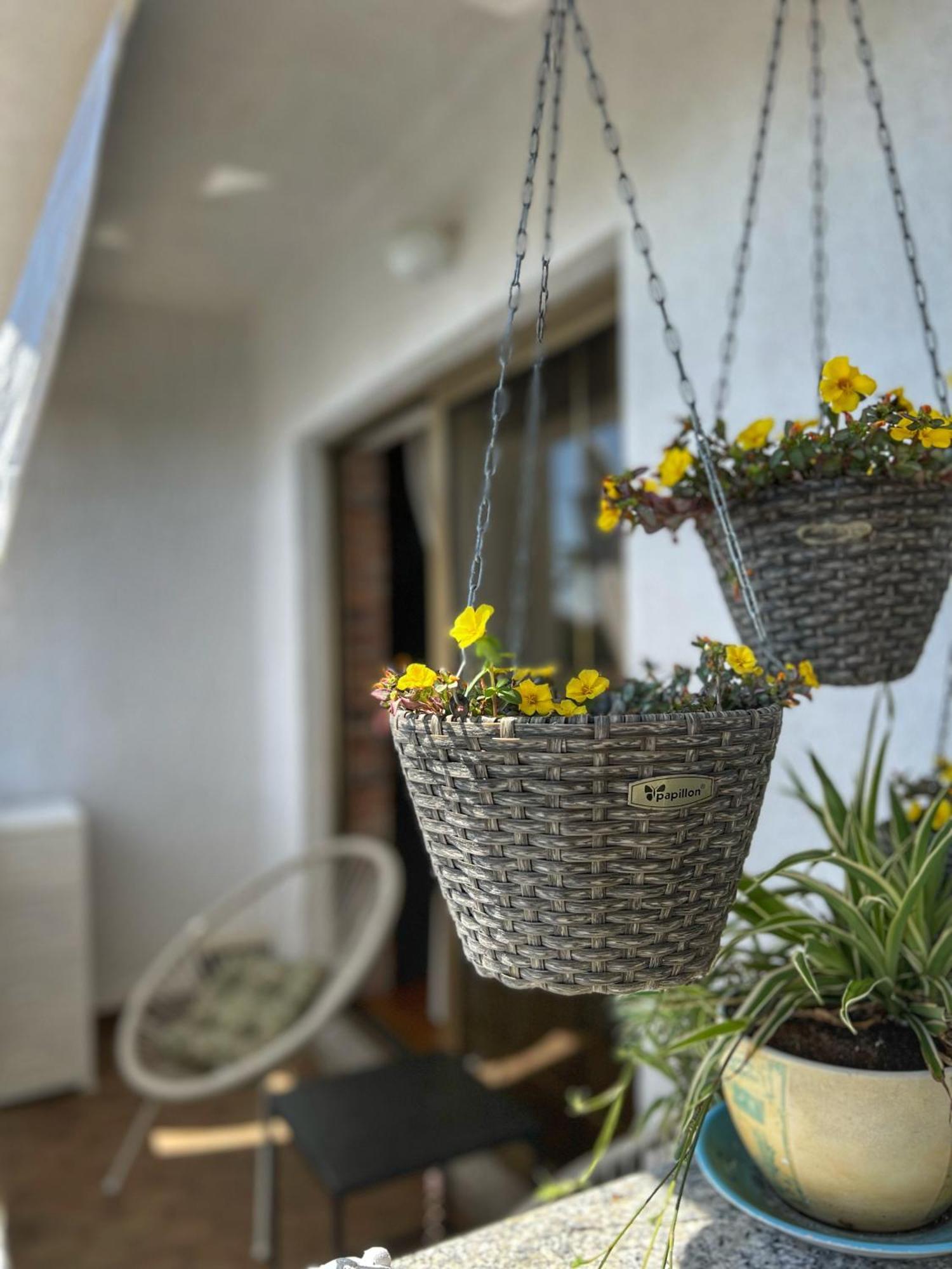 Apartmani Mia Palit Экстерьер фото